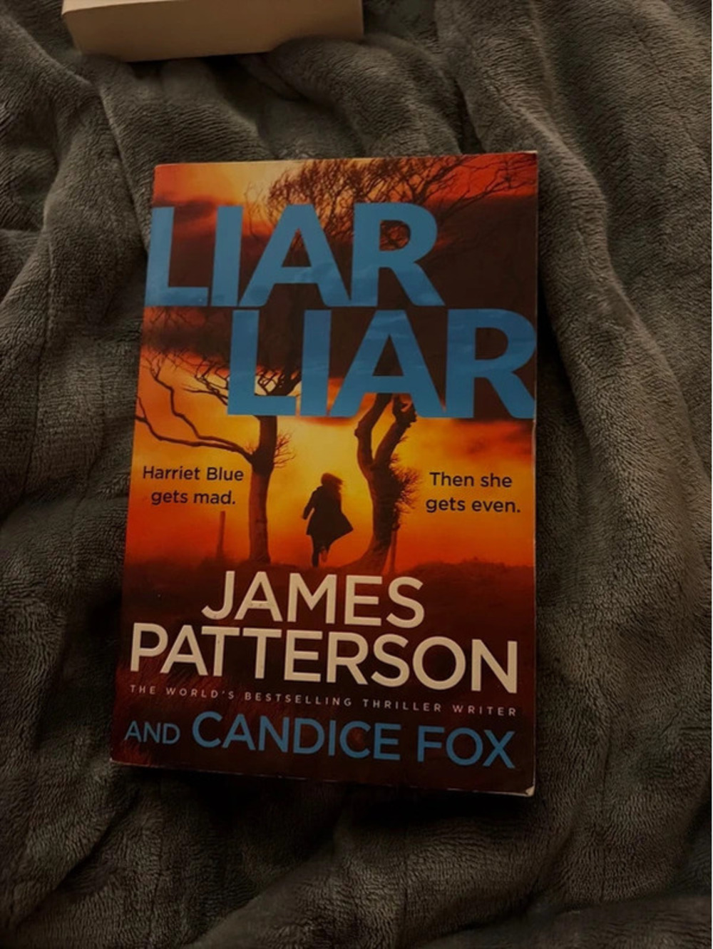 Liar Liar by James Patterson